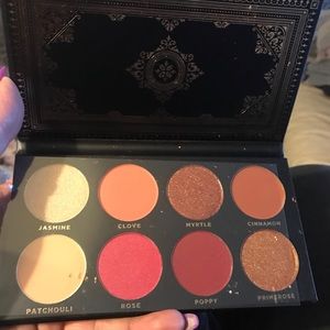 Ace Beaute grandiose palette